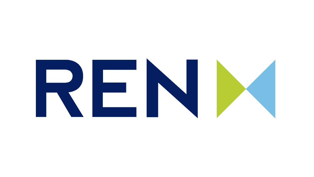 Consultoria Empresarial e Coaching - REN