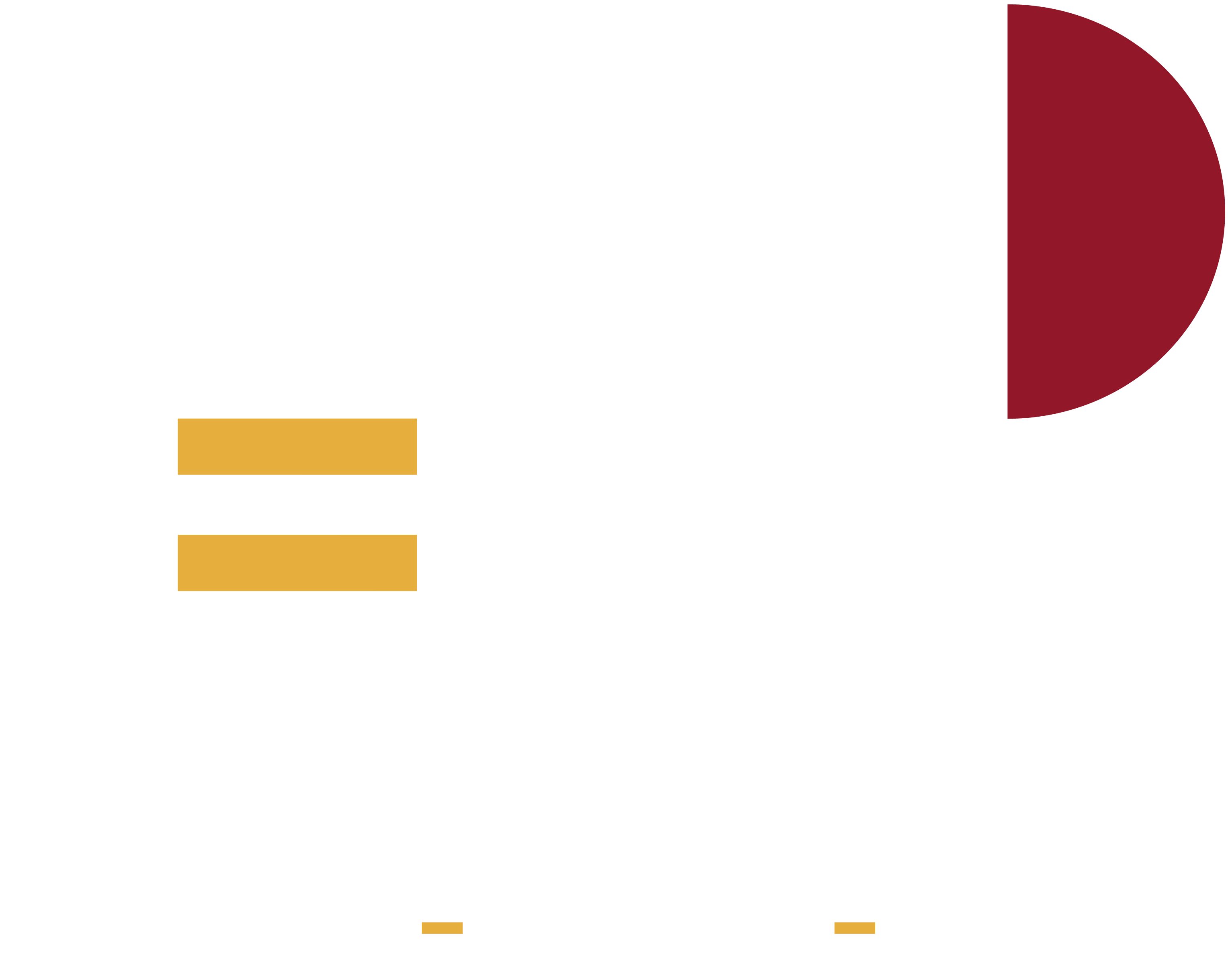LNP – Luísa Neto Pereira